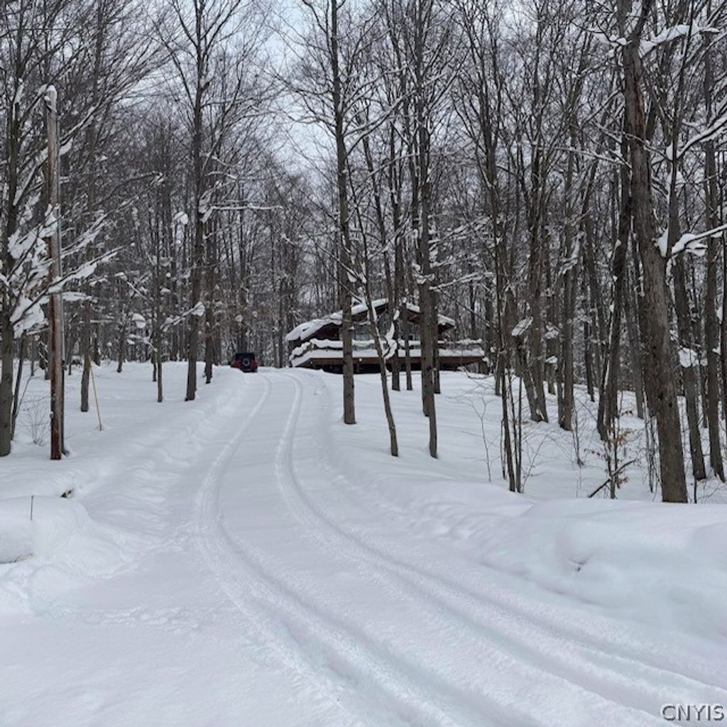 Photo of 14 Dublin Terrace, Mansfield, NY 14779 (MLS # S1678150)