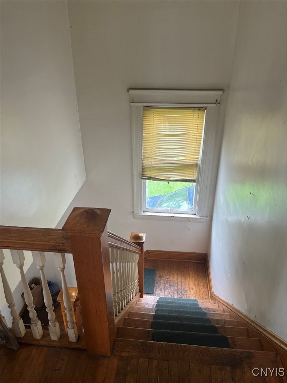 228-230 Elk Street
