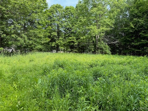 Vacant Land For Sale - 206 Durgee Road<br/> Orwell, NY 13302