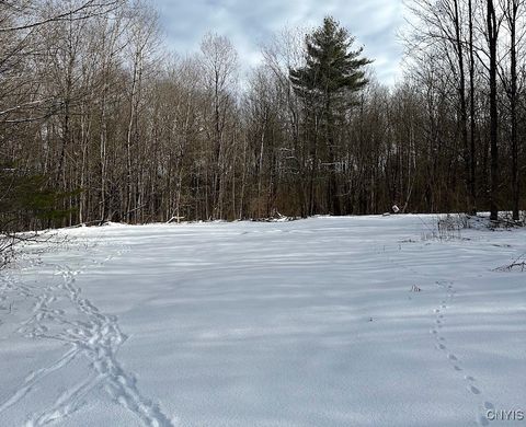 Vacant Land For Sale - 206 Durgee Road<br/> Orwell, NY 13302