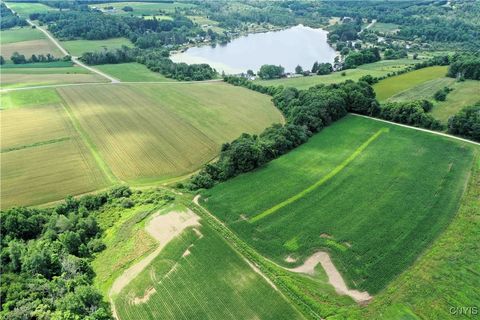 4350 Smith Pond Road Avoca NY 14809