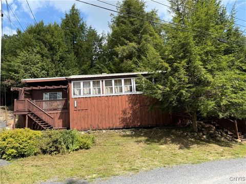 Photo of 156 Minnow Brook, Old Forge, NY 13420 (MLS # S1630256)