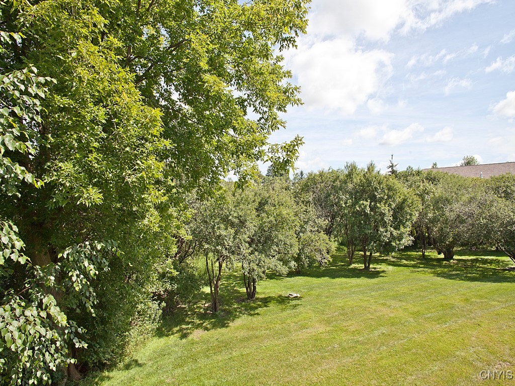 23 S Village Drive, Cazenovia, New York image 20