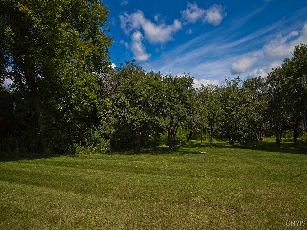 23 S Village Drive, Cazenovia, New York image 25