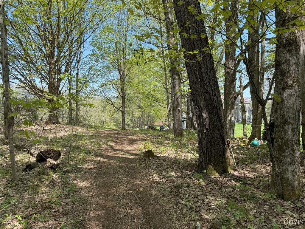 9985 Briggs Road, Remsen, New York image 10