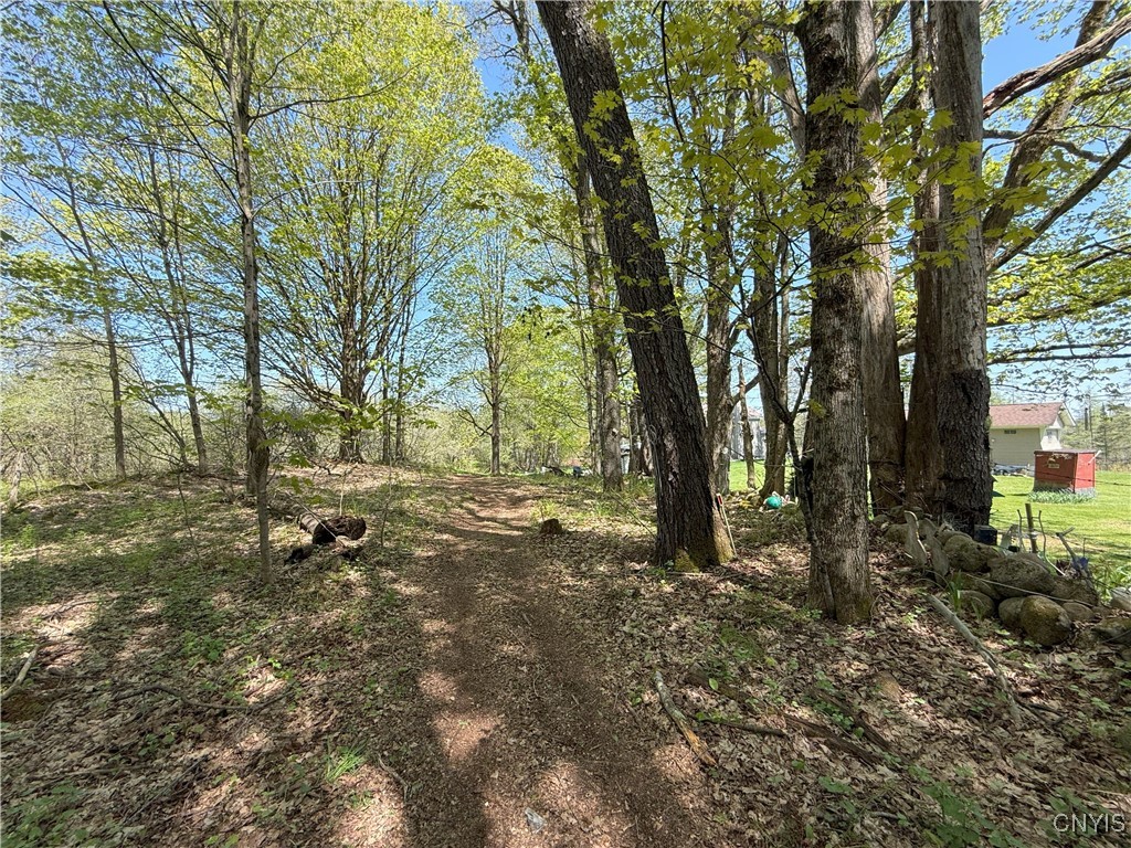 9985 Briggs Road, Remsen, New York image 9