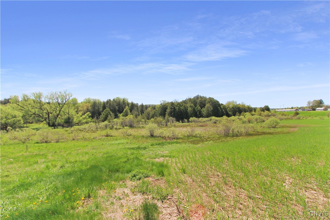 9481 East Road, Denmark, New York image 48
