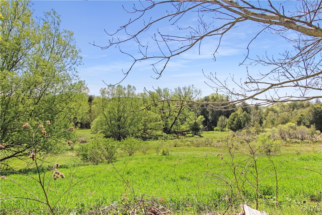 9481 East Road, Denmark, New York image 46