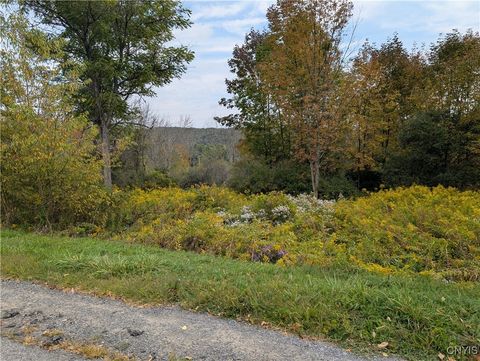 Vacant Land For Sale - Sacco Road<br/> Hamilton, NY 13346