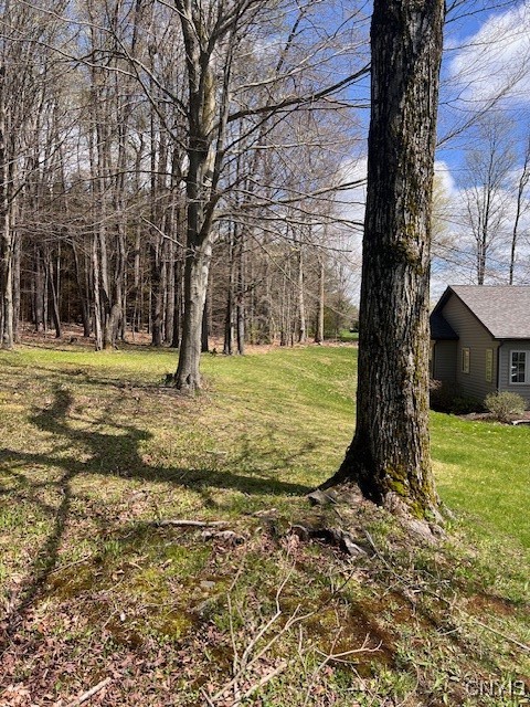 Listing image 4