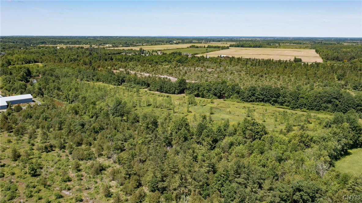 16744 Lot #2C Thompson Trail Drive, Brownville, New York image 3
