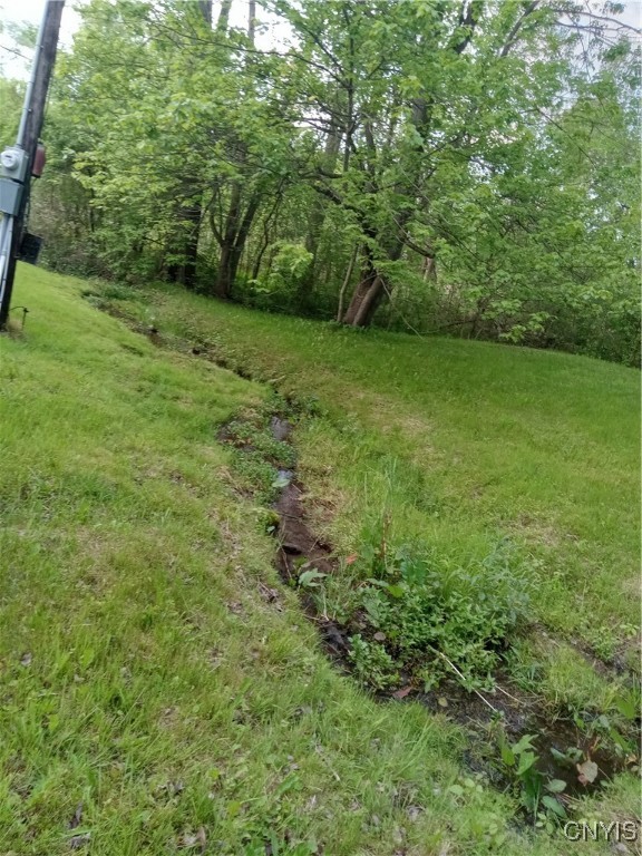 2348 Canal Road Road, Camillus, New York image 29