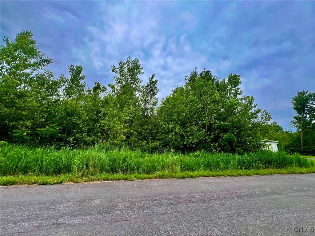 Lot 17 Forest Ridge Drive