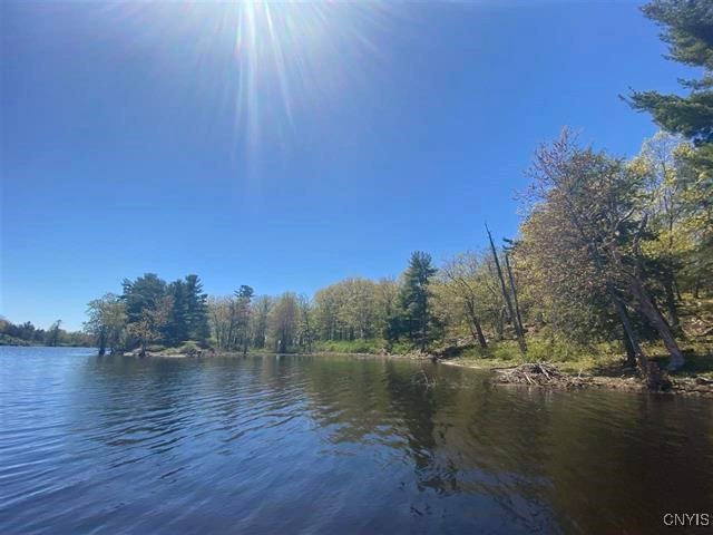 Jennies Island, Morristown, New York image 5