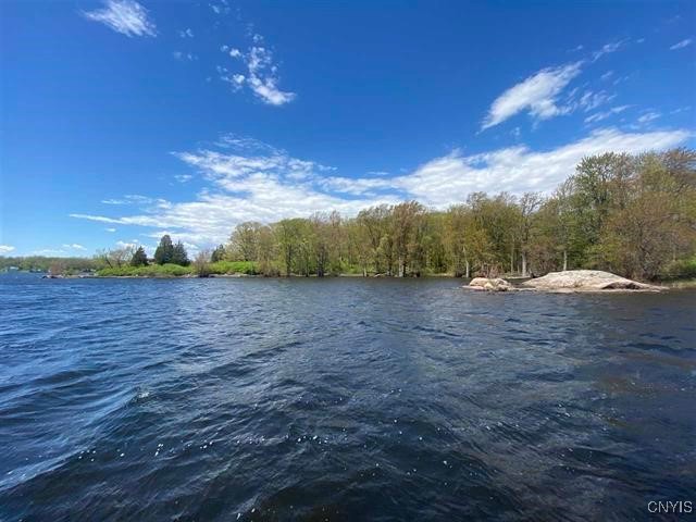 Jennies Island, Morristown, New York image 6