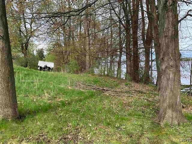 Jennies Island, Morristown, New York image 3