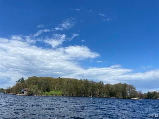 Jennies Island, Morristown, New York image 4