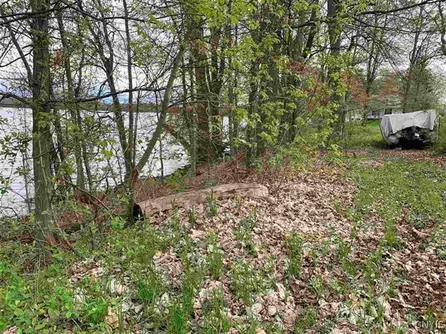 Jennies Island, Morristown, New York image 2