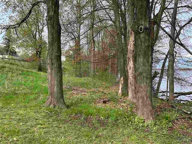 Jennies Island, Morristown, New York image 9