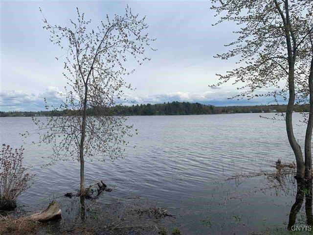 Jennies Island, Morristown, New York image 8
