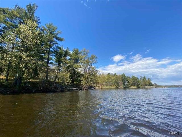 Jennies Island, Morristown, New York image 1