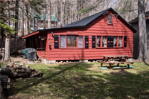 Photo of 145 Hollywood Road, Webb, NY 13420 (MLS # S1674223)