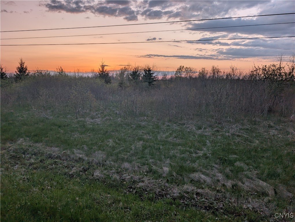 Wilson Point Road, Cape Vincent, New York image 19