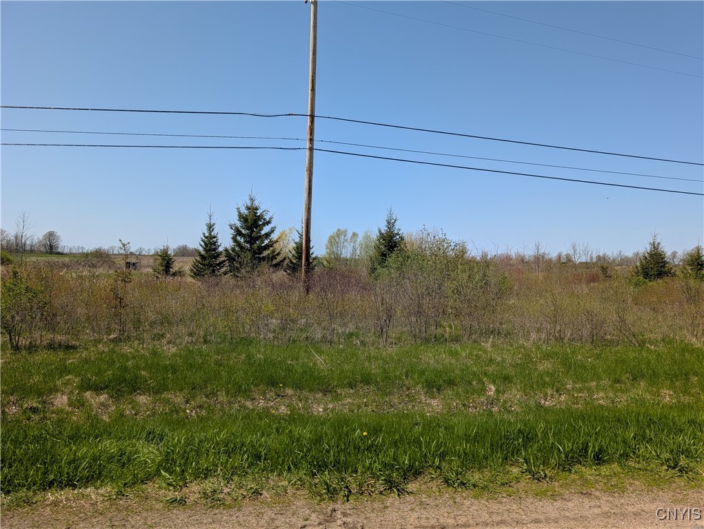 Wilson Point Road, Cape Vincent, New York image 15