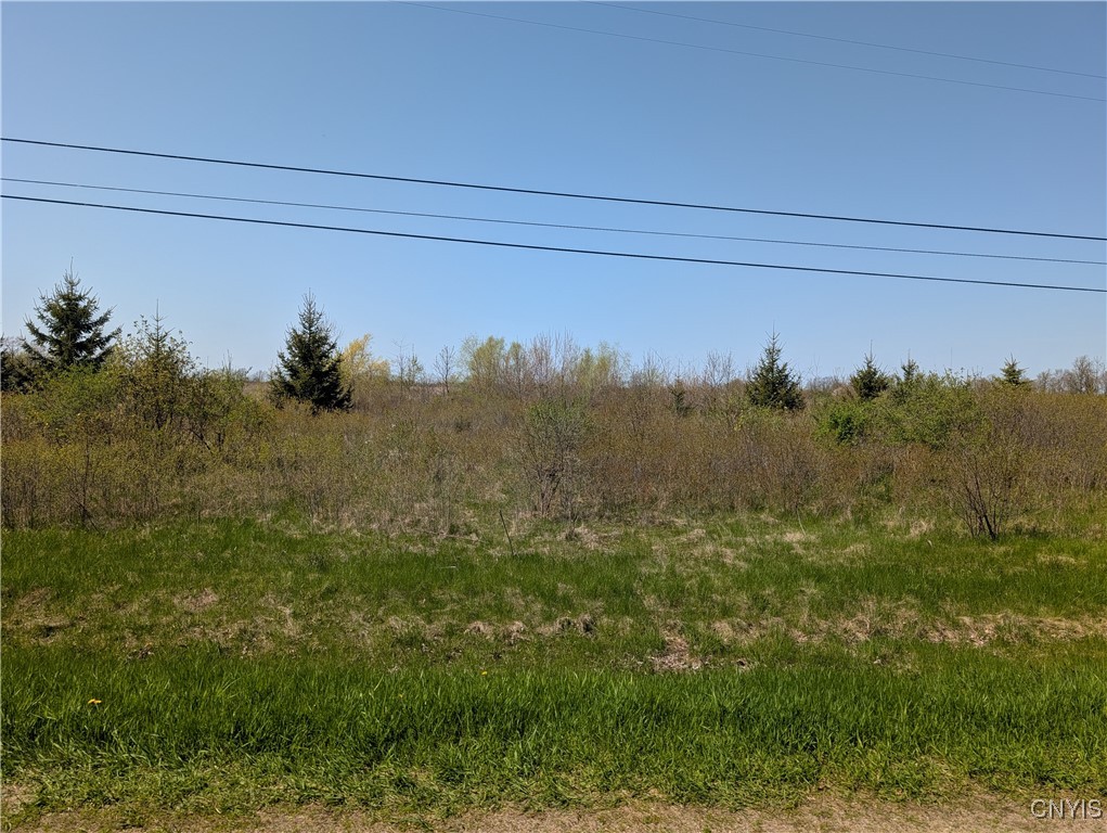 Wilson Point Road, Cape Vincent, New York image 14