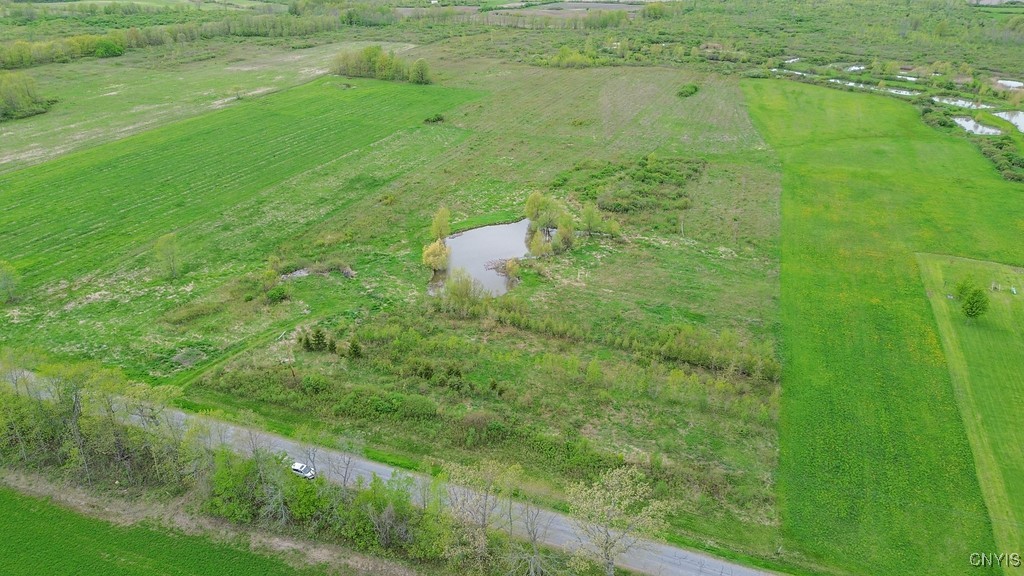 Wilson Point Road, Cape Vincent, New York image 7