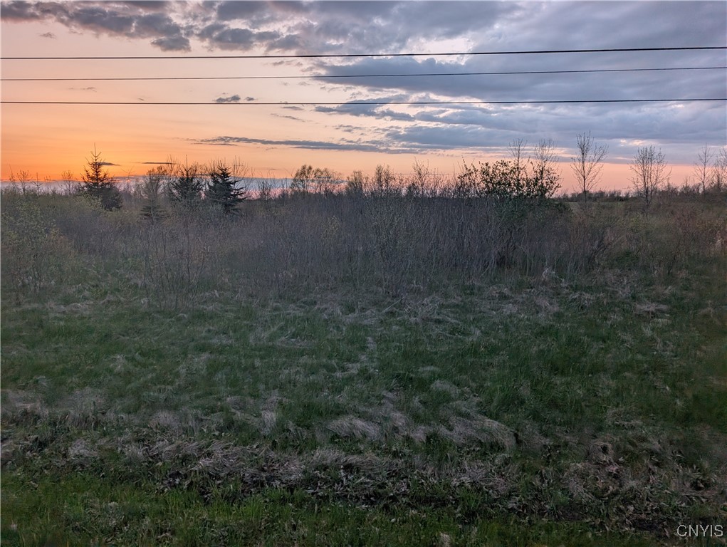 Wilson Point Road, Cape Vincent, New York image 20