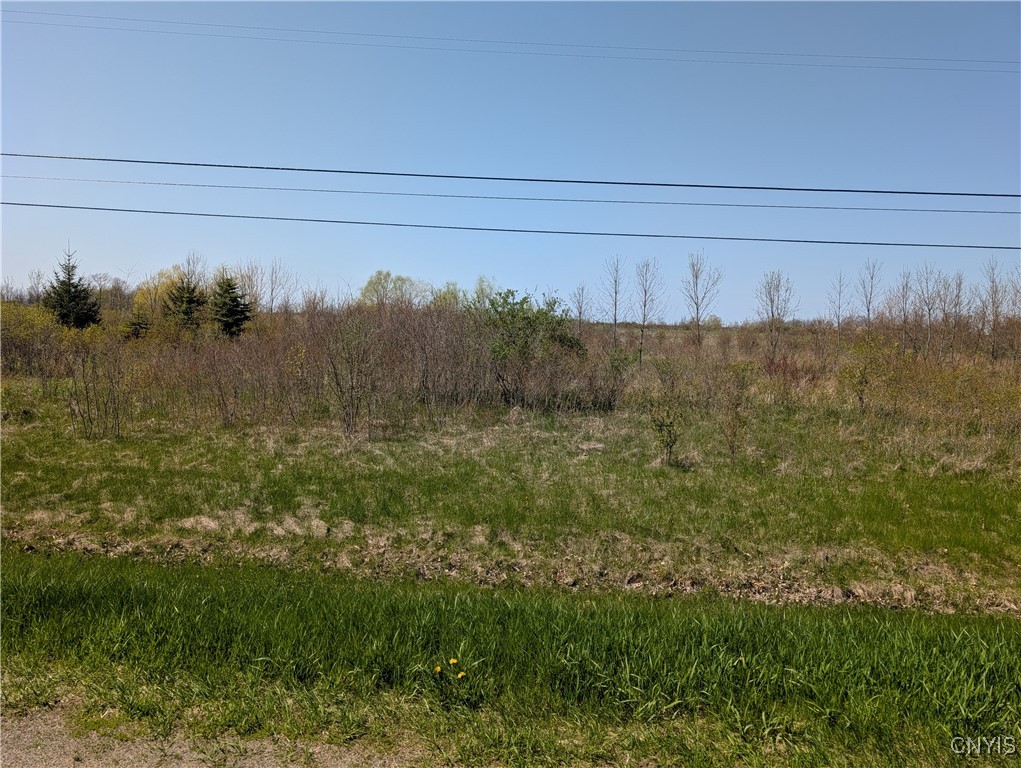 Wilson Point Road, Cape Vincent, New York image 13