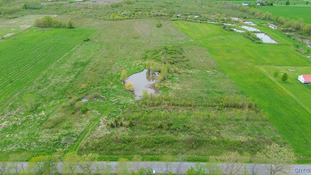 Wilson Point Road, Cape Vincent, New York image 8