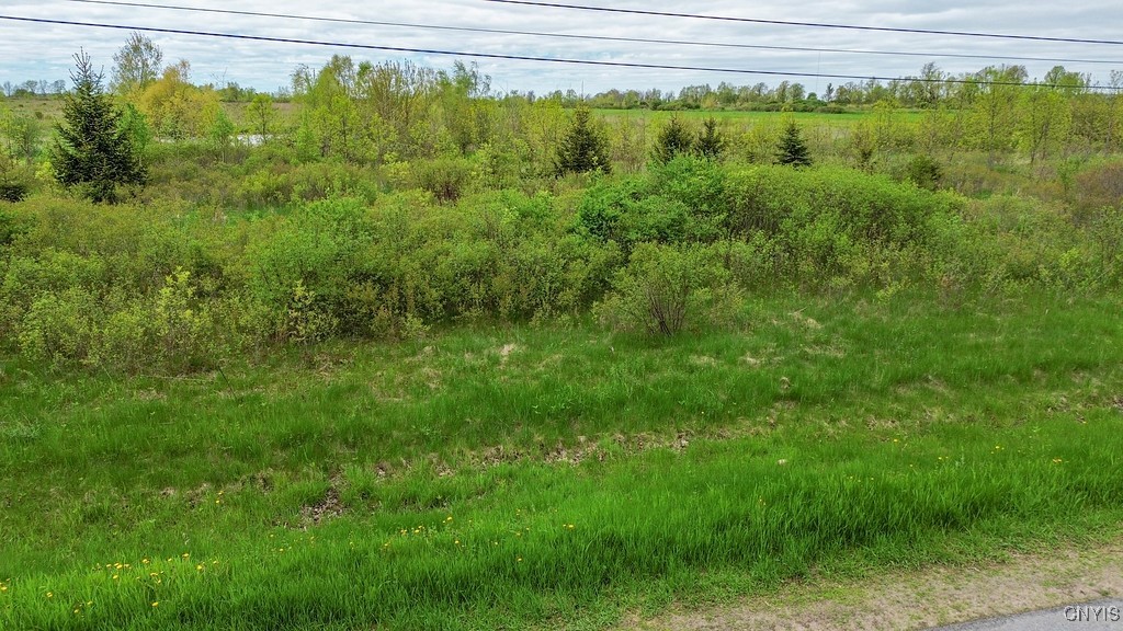 Wilson Point Road, Cape Vincent, New York image 10