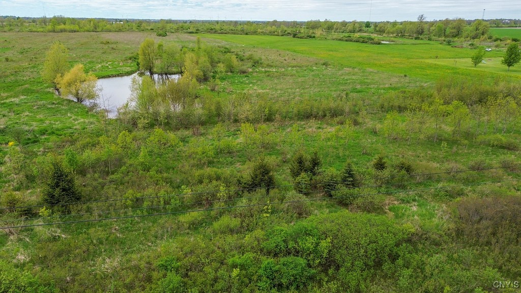 Wilson Point Road, Cape Vincent, New York image 11