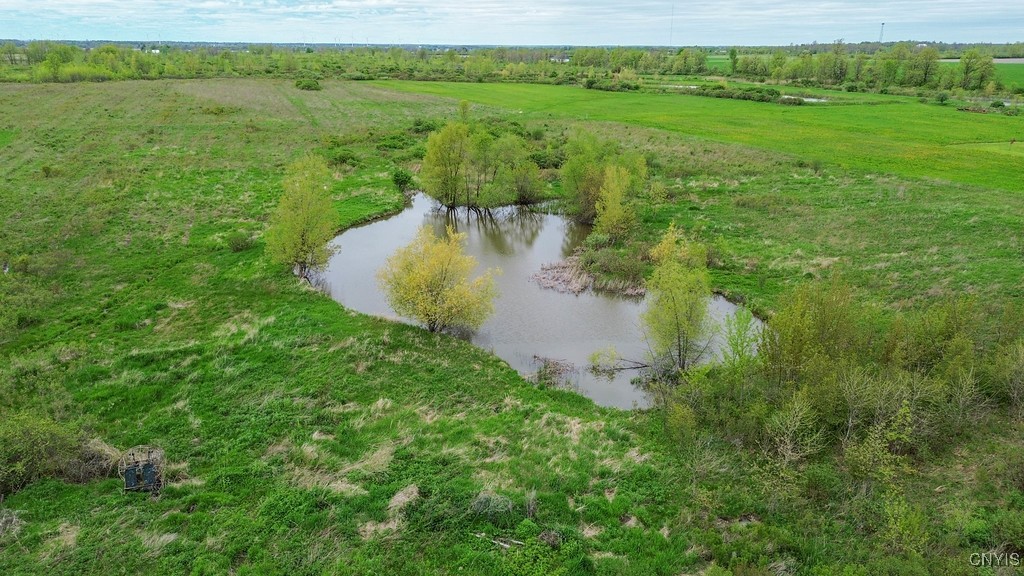 Wilson Point Road, Cape Vincent, New York image 2