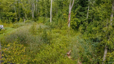 Vacant Land For Sale - 7756 Seneca Beach Drive<br/> Van Buren, NY 13027