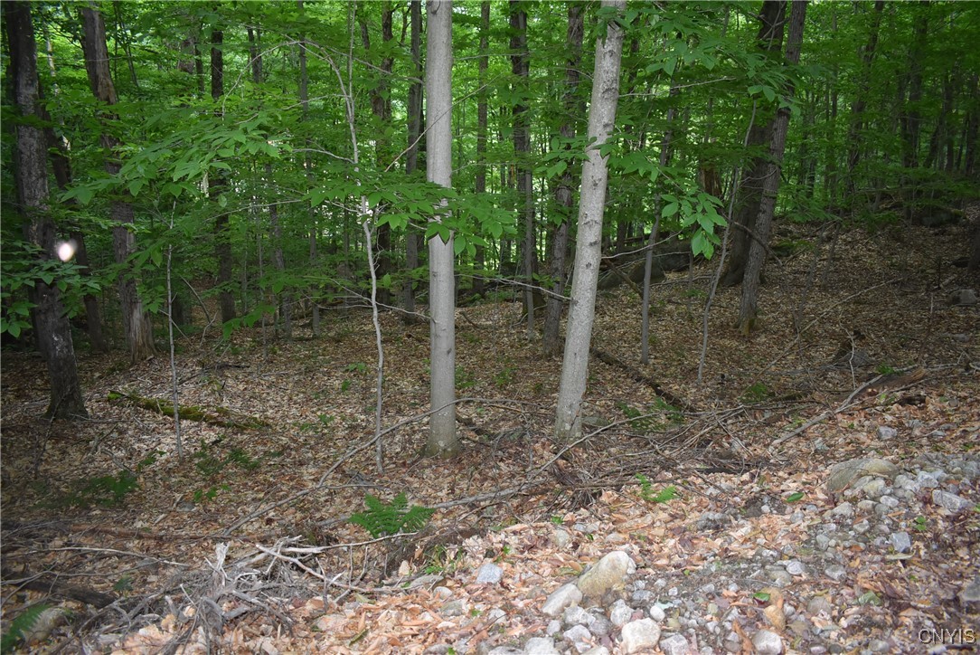 Lot 11 & 13 Mohawk Drive W