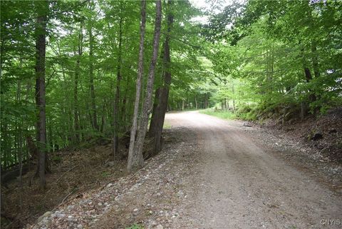 Photo of Lot 11 & 13 Mohawk W Drive, Old Forge, NY 13420 (MLS # S1618751)