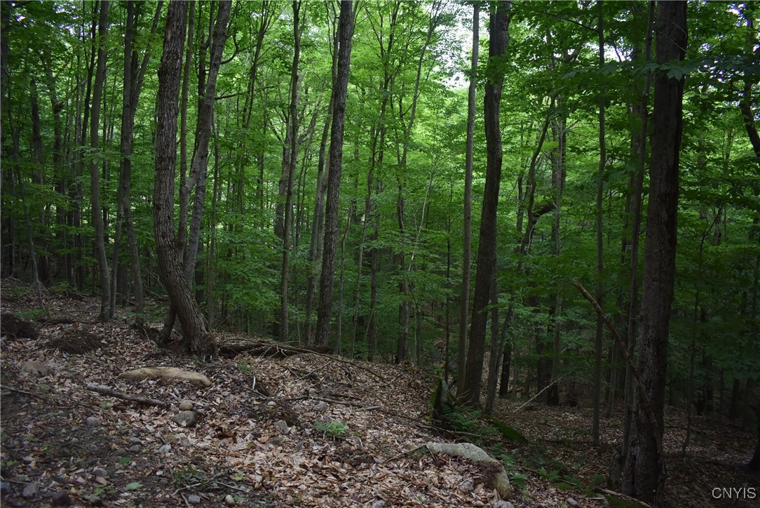 Lot 11 & 13 Mohawk Drive W