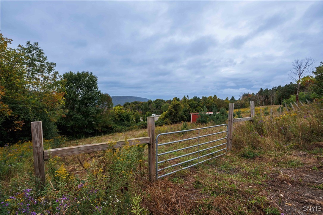 1447 Us Route 11 Road, Tully, New York image 44