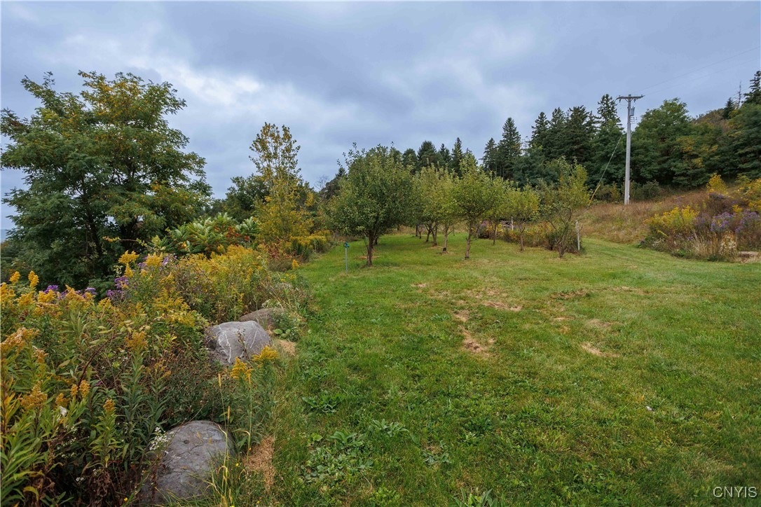 1447 Us Route 11 Road, Tully, New York image 47