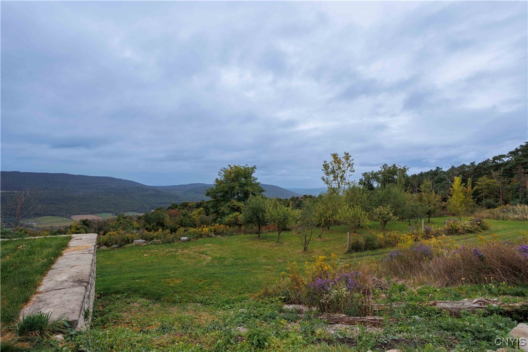 1447 Us Route 11 Road, Tully, New York image 41