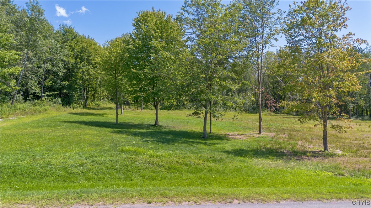 128 LOT 1 Whig Hill Road, West Monroe, New York image 13