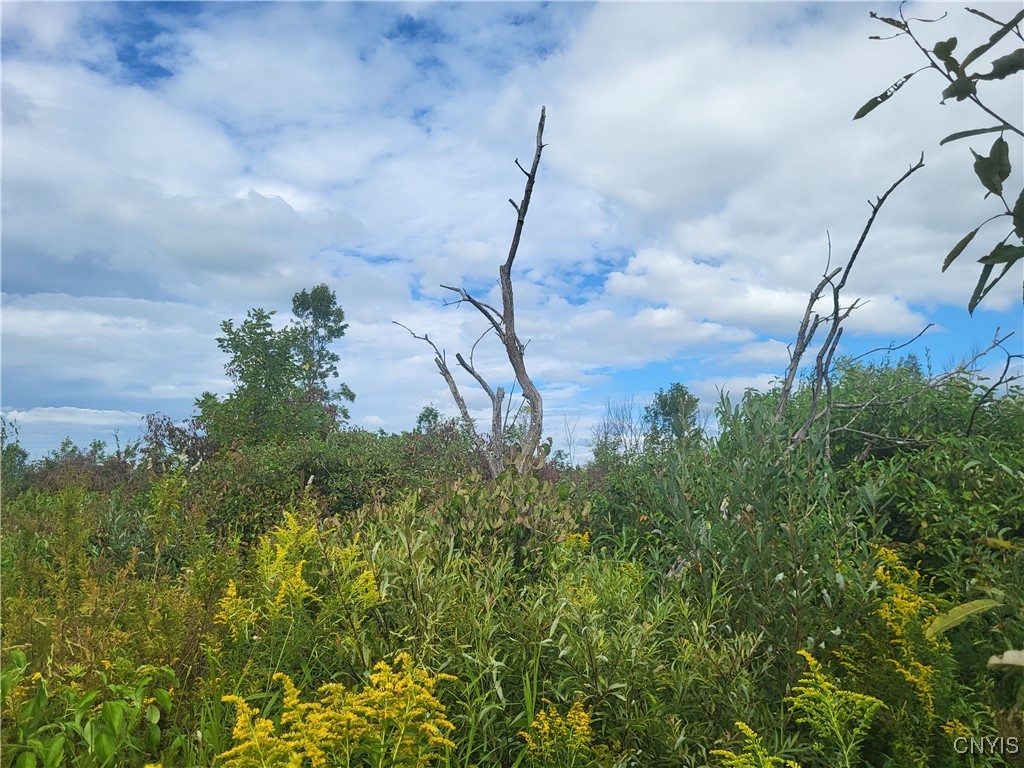 00 Paddock Drive, Hammond, New York image 3