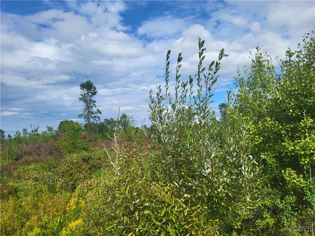 00 Paddock Drive, Hammond, New York image 9