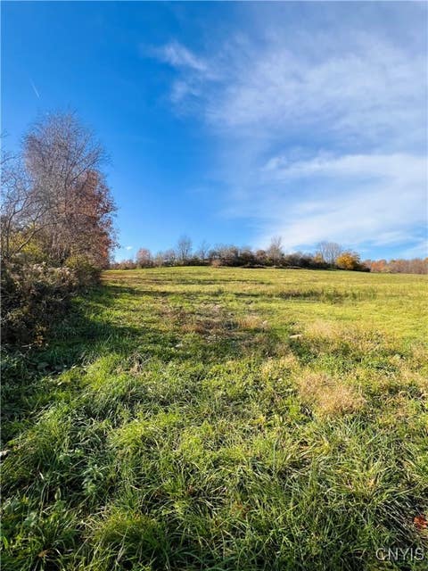 Photo for 7391 Plainville Road