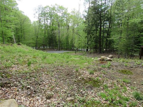 Photo of 142 Joy Tract Road, Webb, NY 13420 (MLS # S1598518)