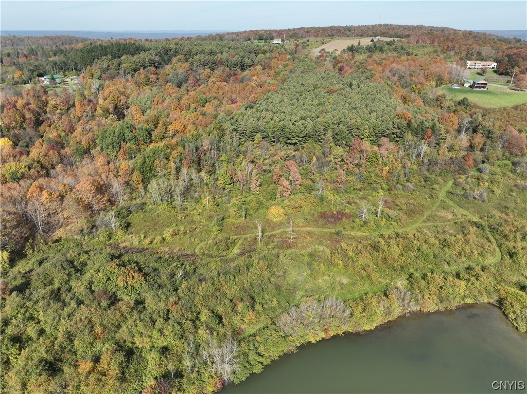 Lot 25 Steuben Hill Road, Herkimer, New York image 9