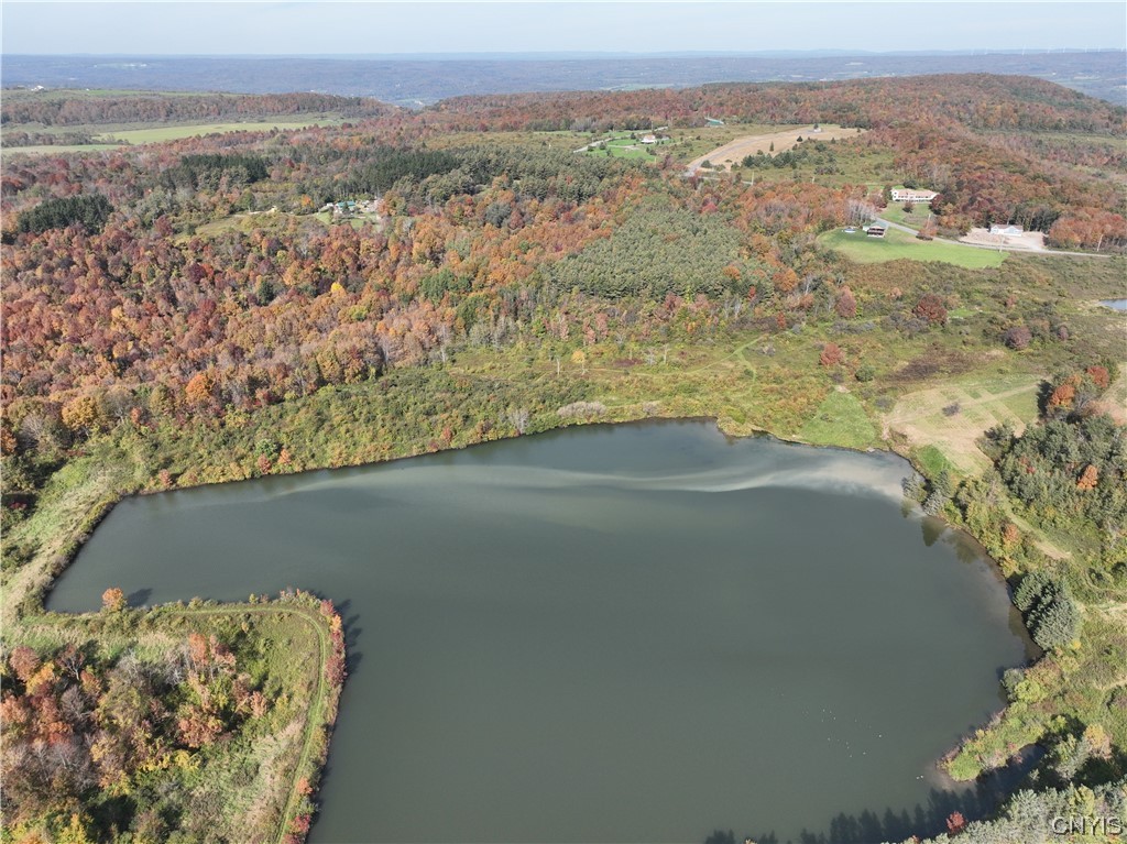 Lot 25 Steuben Hill Road, Herkimer, New York image 10